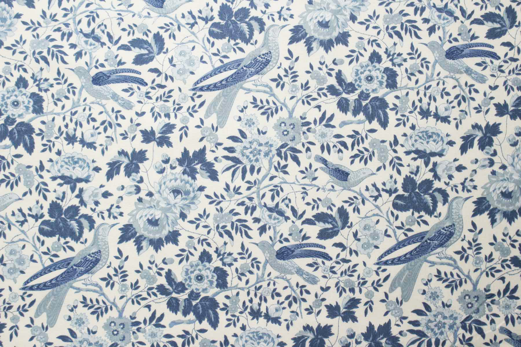 Jpi　Bleu De France　Valliere<br />パ-ル